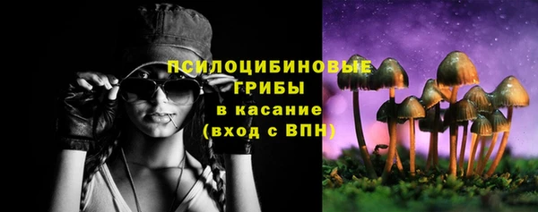 прущие грибы Лиски