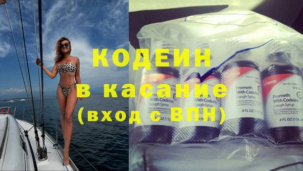 шишки Майский